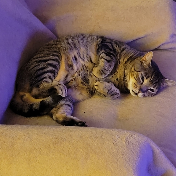 Meet your Posher, Todd - Picture 3 of 8